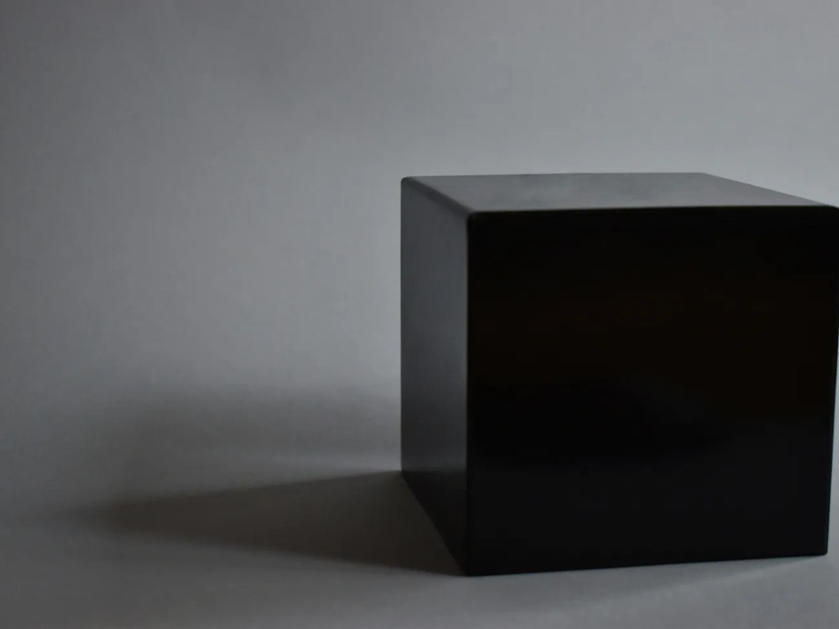 Knowledge and Understanding in a Black Box&nbsp;World